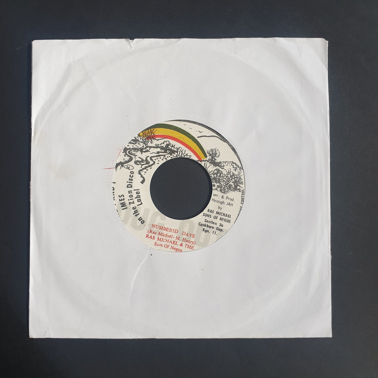 RAS MICHAEL & THE SONS OF NEGUS - Numbered Days