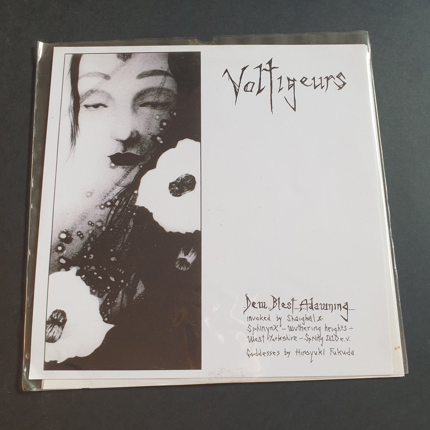 HORSEBACK / VOLTIGEURS - S/T