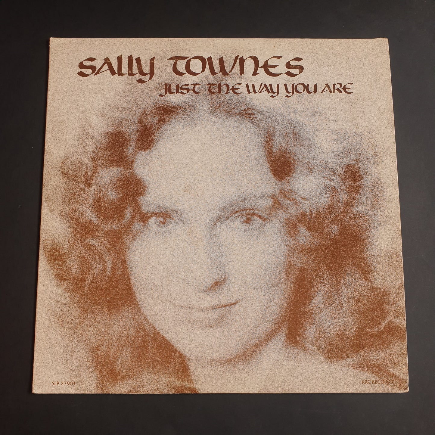 SALLY TOWNES - Just The Way You Are