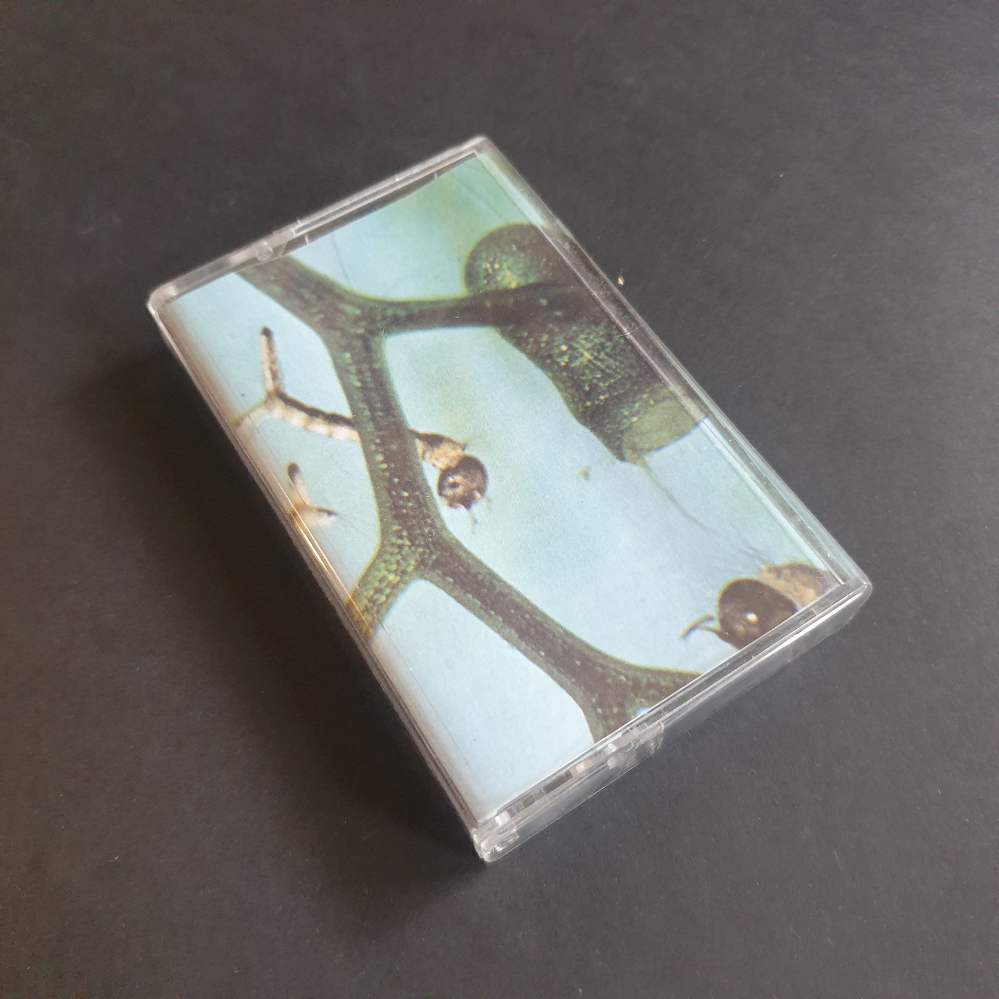 THETLVMTH - Nastri da Trasmettere