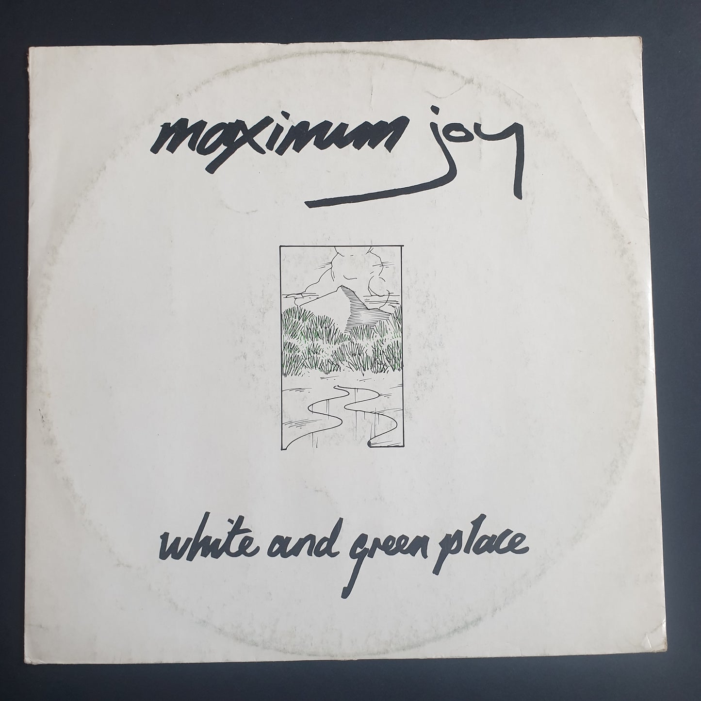 MAXIMUM JOY - White And Green Place