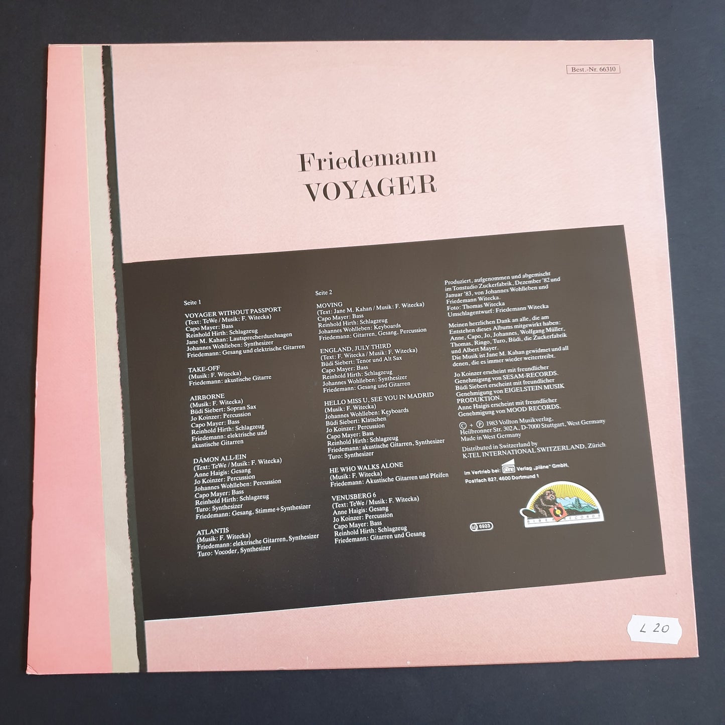 FRIEDEMANN - Voyager