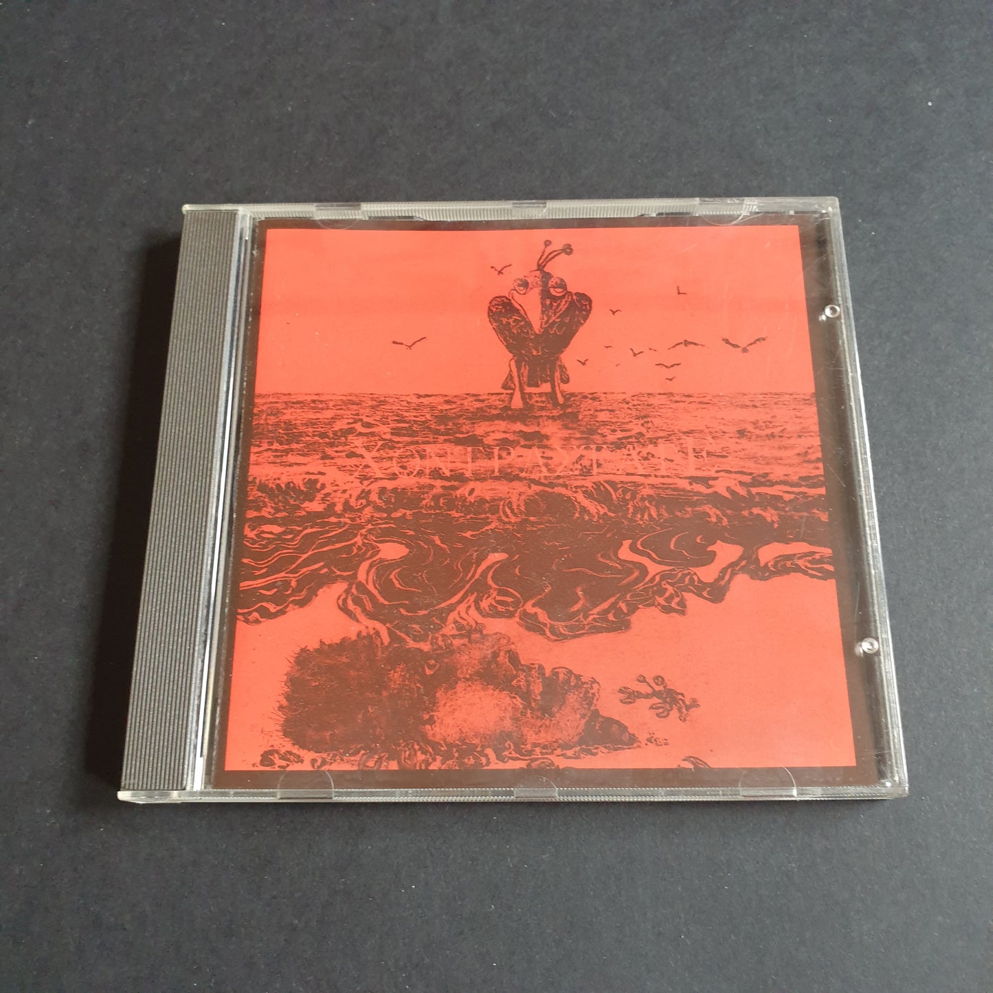 CONTRASTATE - English Embers
