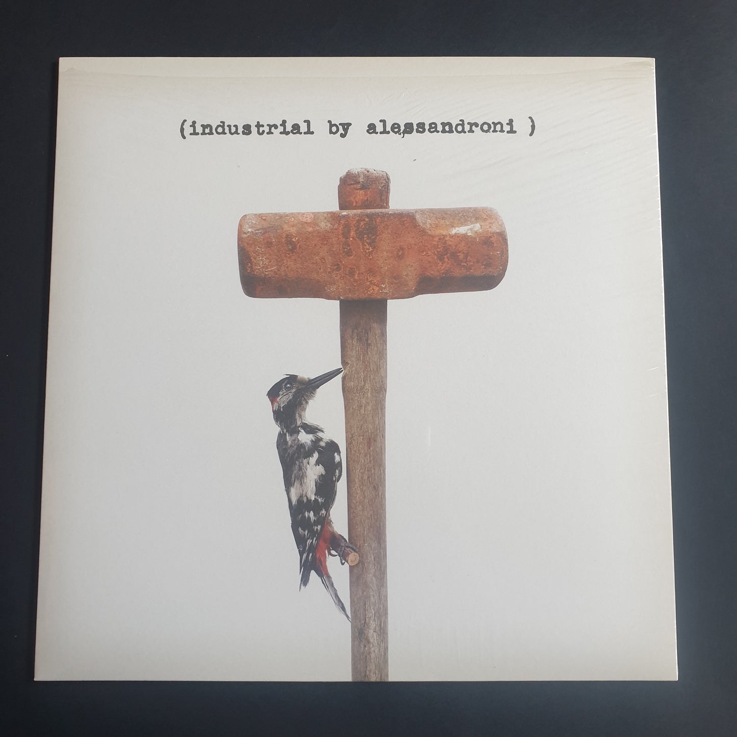 ALESSANDRO ALESSANDRONI - Industrial