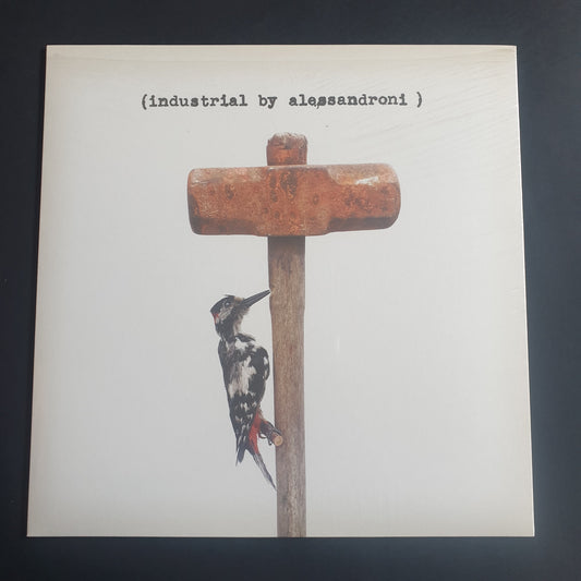 ALESSANDRO ALESSANDRONI - Industrial