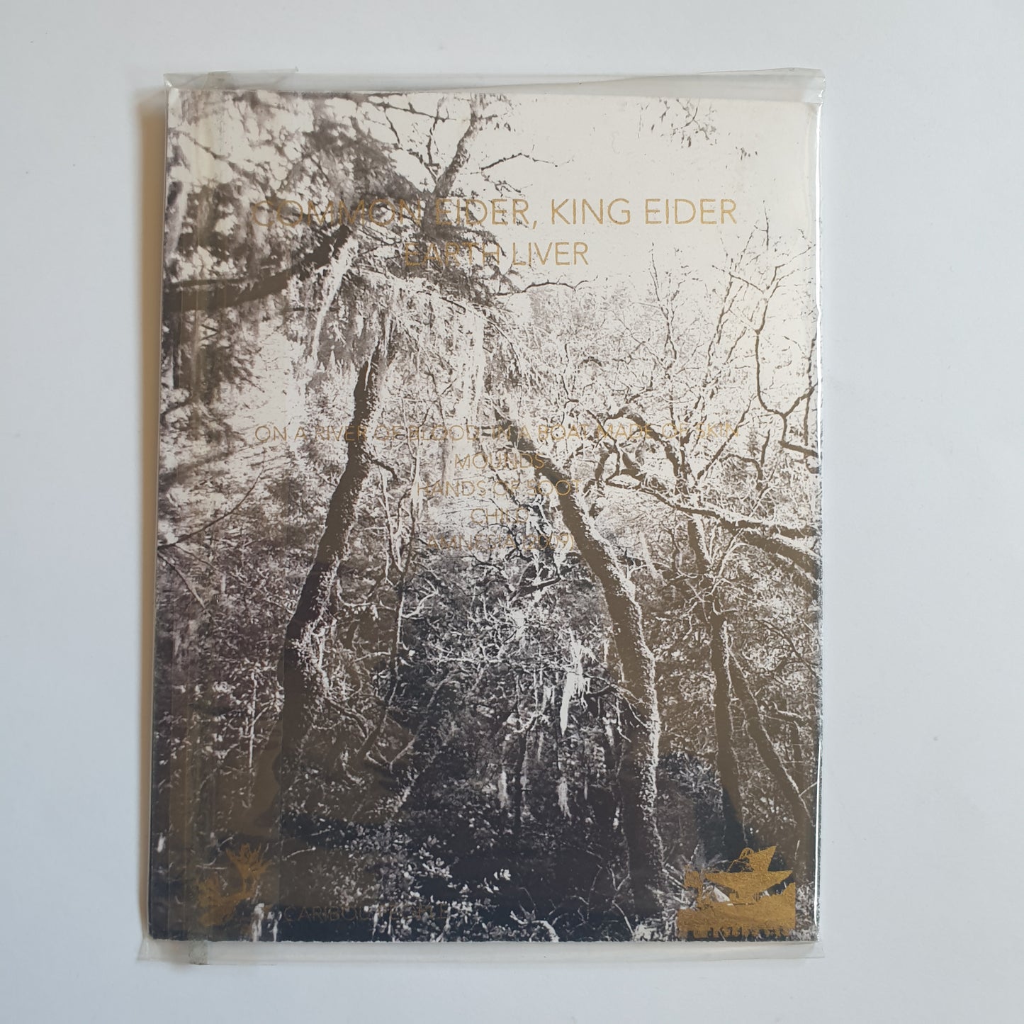 COMMON EIDER, KING EIDER - Earth Liver