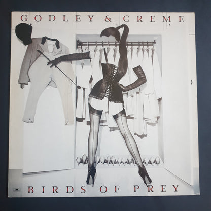 GODLEY & CREME - Birds Of Prey