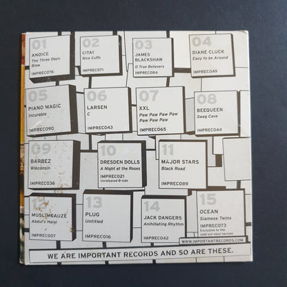 V.A. - A User's Guide To The First 100 Important Records Releases