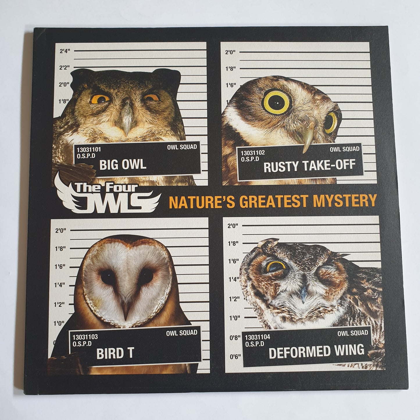 THE FOUR OWLS - Nature's Greatest Mystery