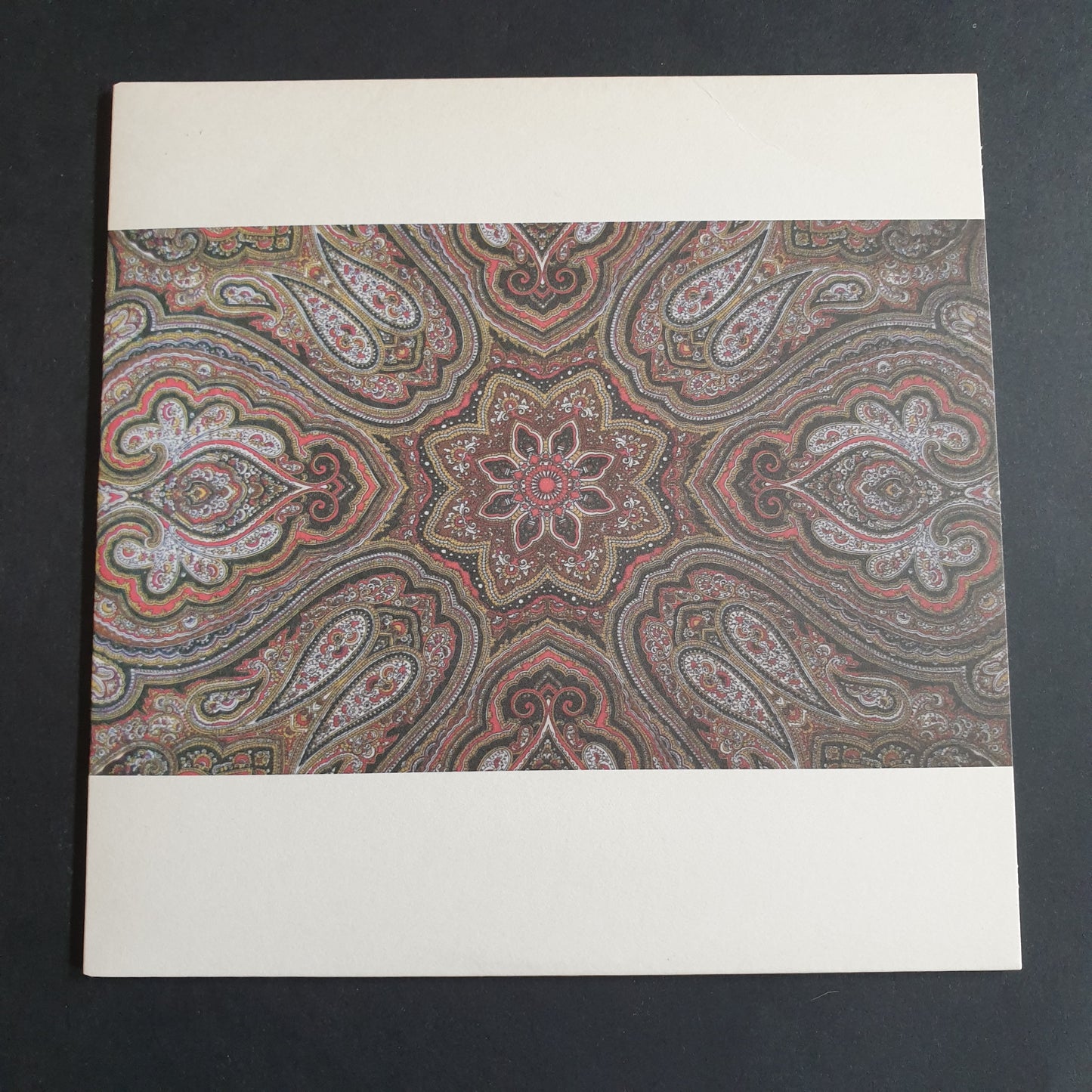 INFINITE LIGHT / VIBRACATHEDRAL ORCHESTRA - Split