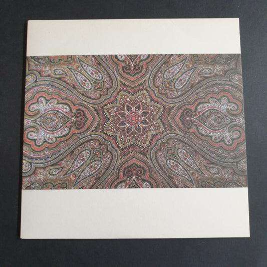 INFINITE LIGHT / VIBRACATHEDRAL ORCHESTRA - Split