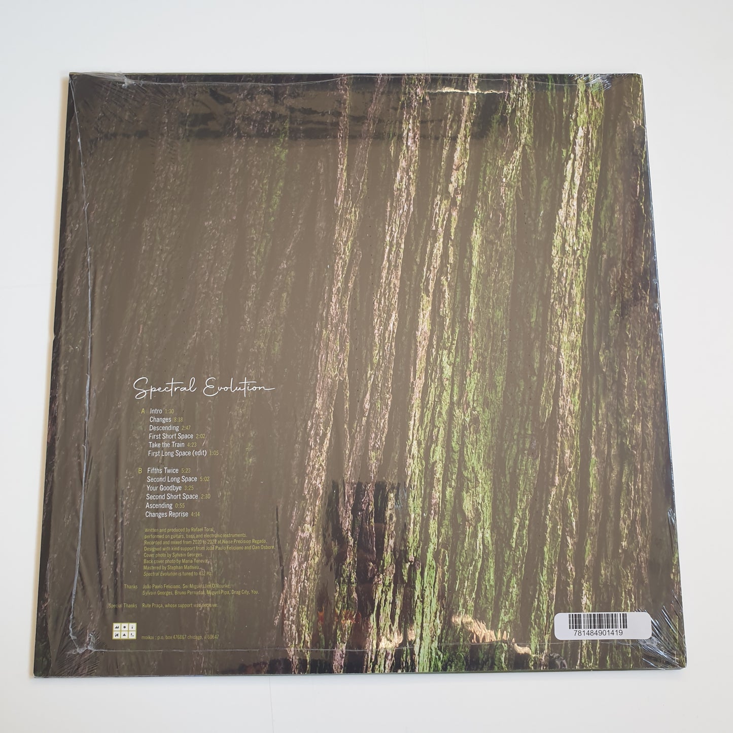 RAFAEL TORAL - Spectral Evolution