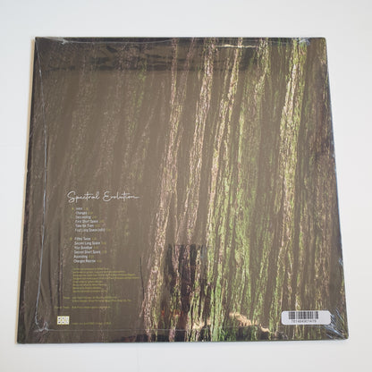 RAFAEL TORAL - Spectral Evolution