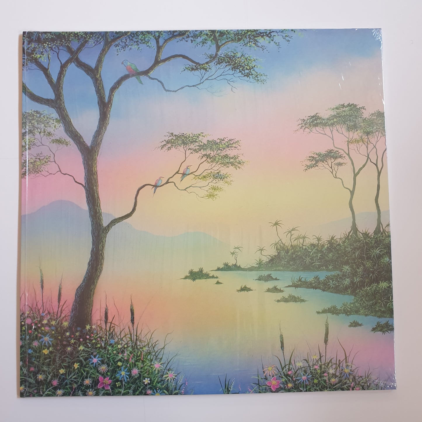 PAUL AND MARK - Quiet Water