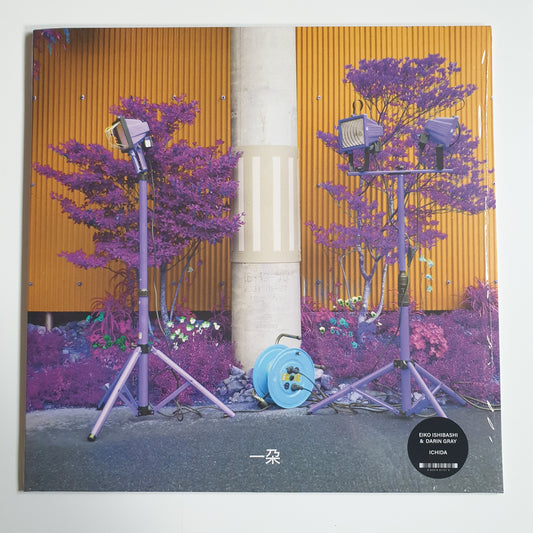 EIKO ISHIBASHI & DARIN GRAY - Ichida