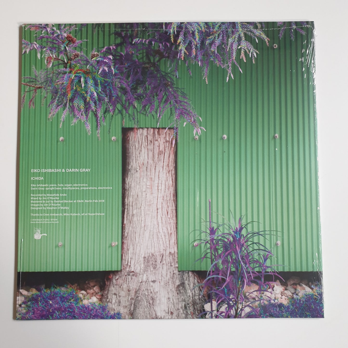 EIKO ISHIBASHI & DARIN GRAY - Ichida