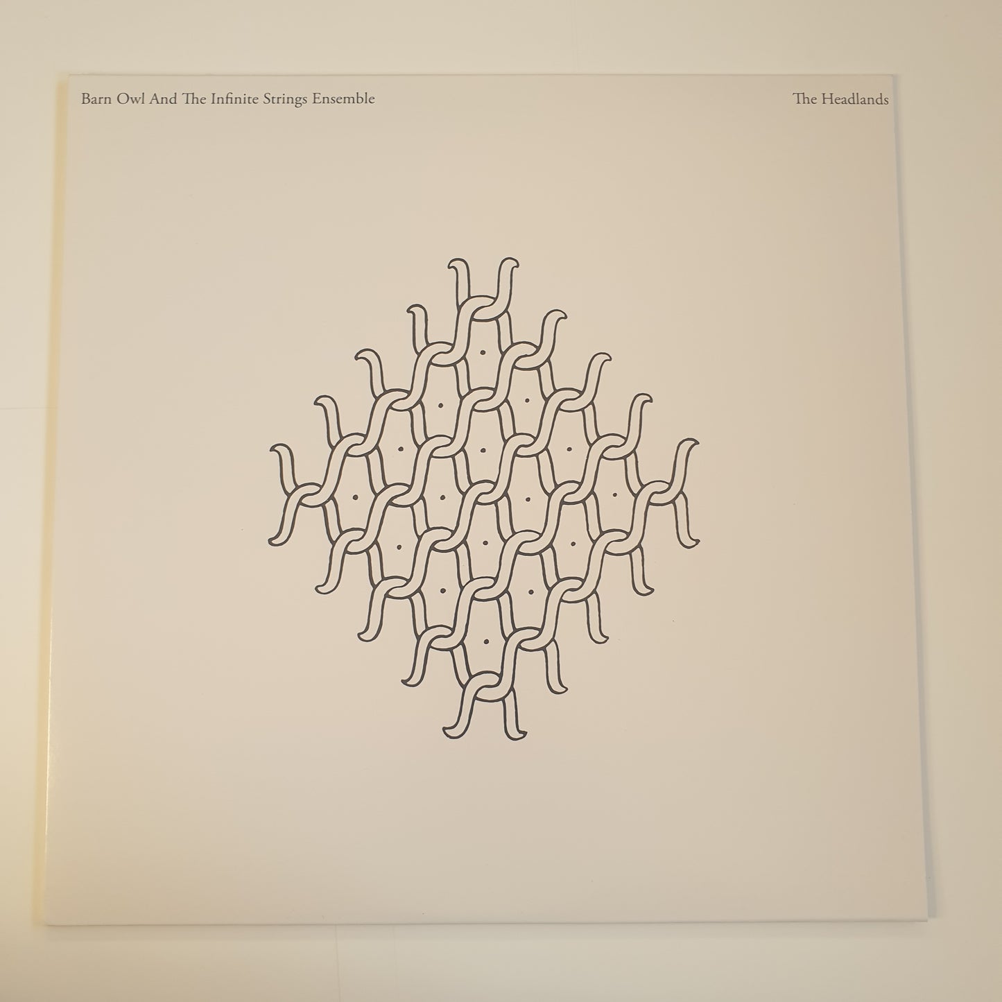 BARN OWL AND THE INFINITE STRINGS ENSEMBLE - The Headlands