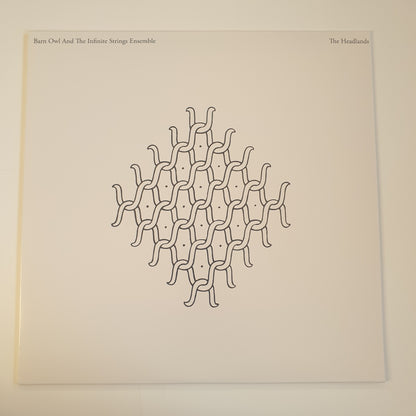 BARN OWL AND THE INFINITE STRINGS ENSEMBLE - The Headlands