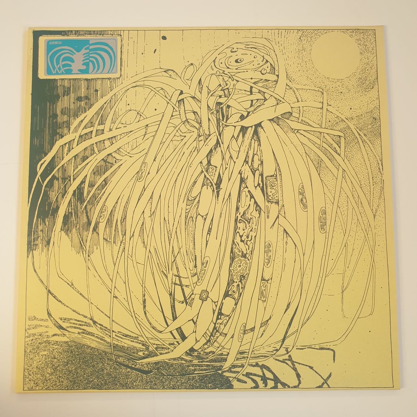 LO KINDRE - Chlorophytum