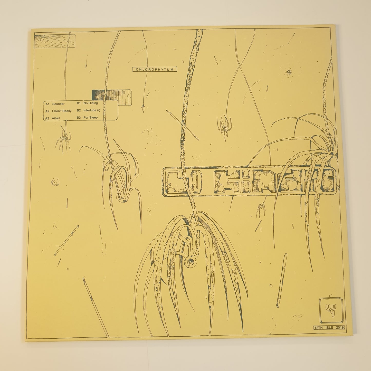 LO KINDRE - Chlorophytum