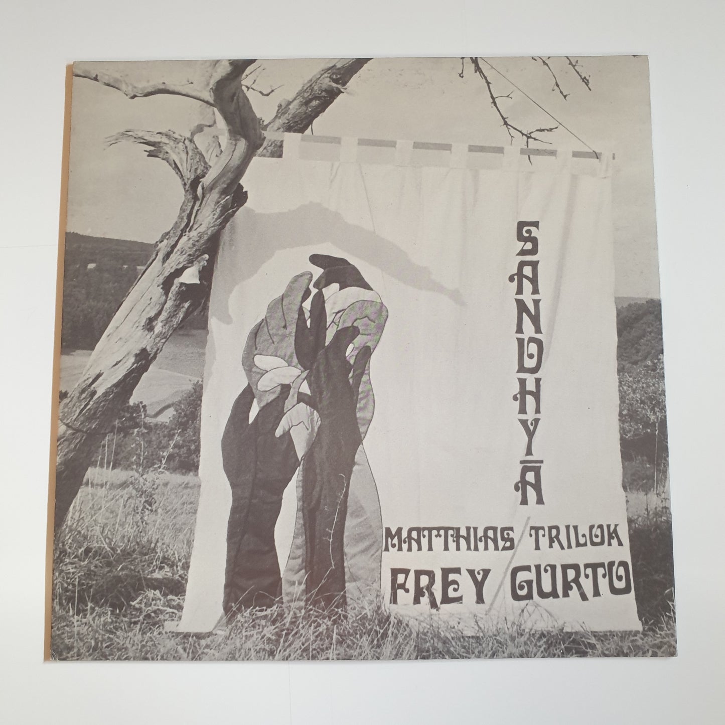 MATTHIAS FREY, TRILOK GURTO - Sandhyā