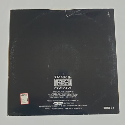 FABRIZIO FATTORI AND RABA - Music And Rhythm