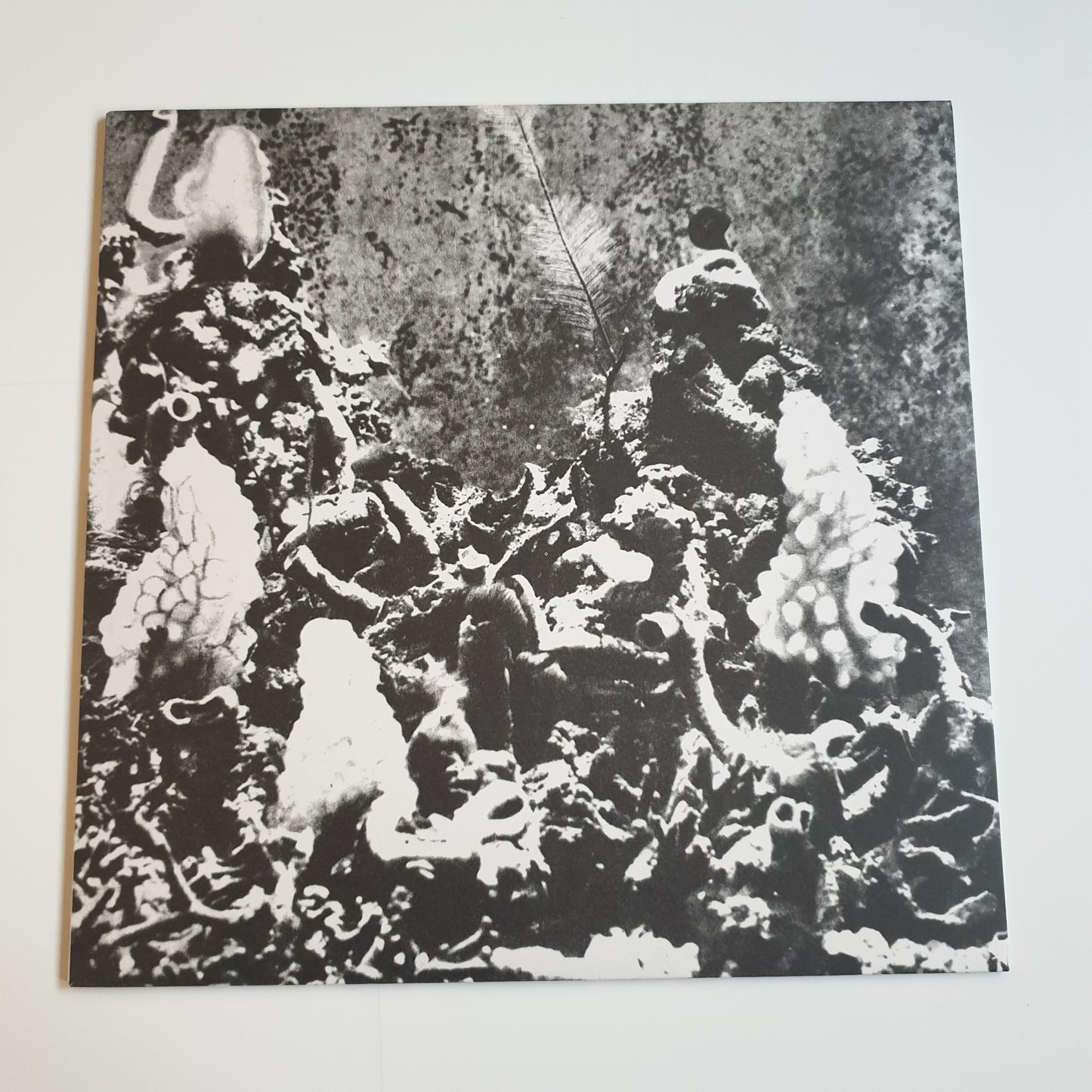 DONATO EPIRO - Fiume Nero