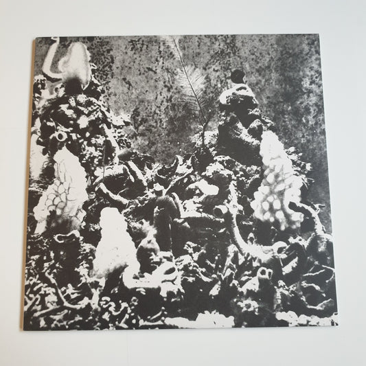DONATO EPIRO - Fiume Nero
