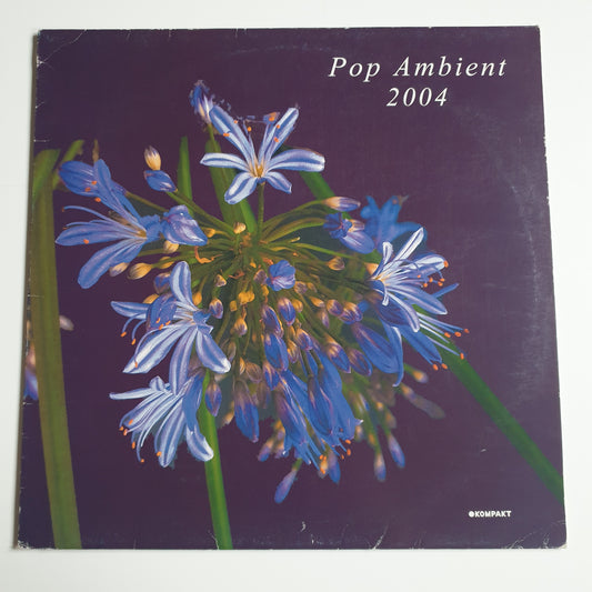 V.A. - Pop Ambient 2024