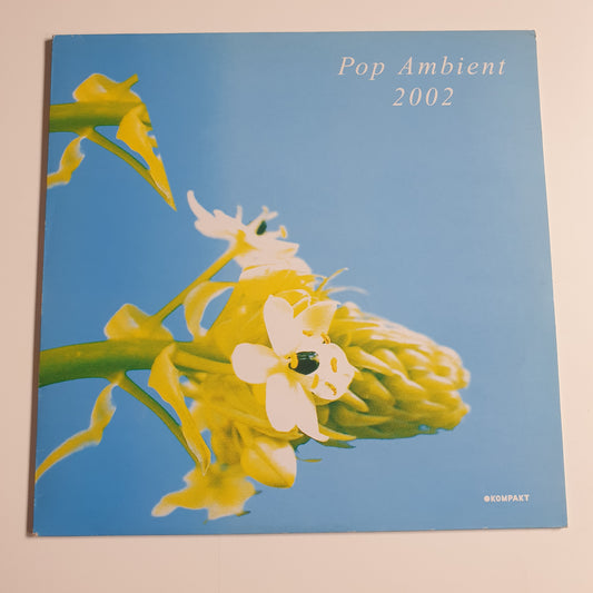 V.A. - Pop Ambient 2002