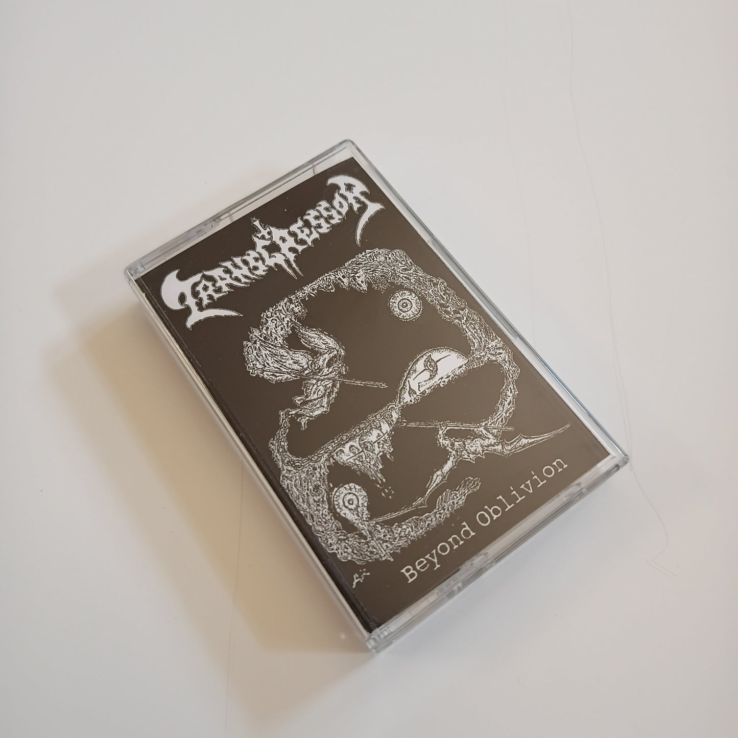 TRANSGRESSOR - Beyond Oblivion