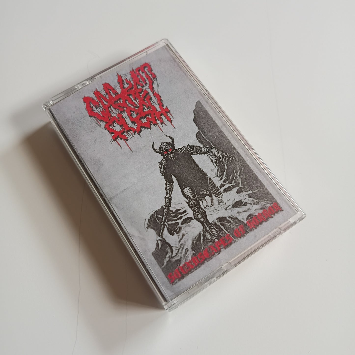 CASKET FLESH - Soundscapes Of Horror