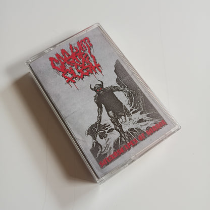 CASKET FLESH - Soundscapes Of Horror