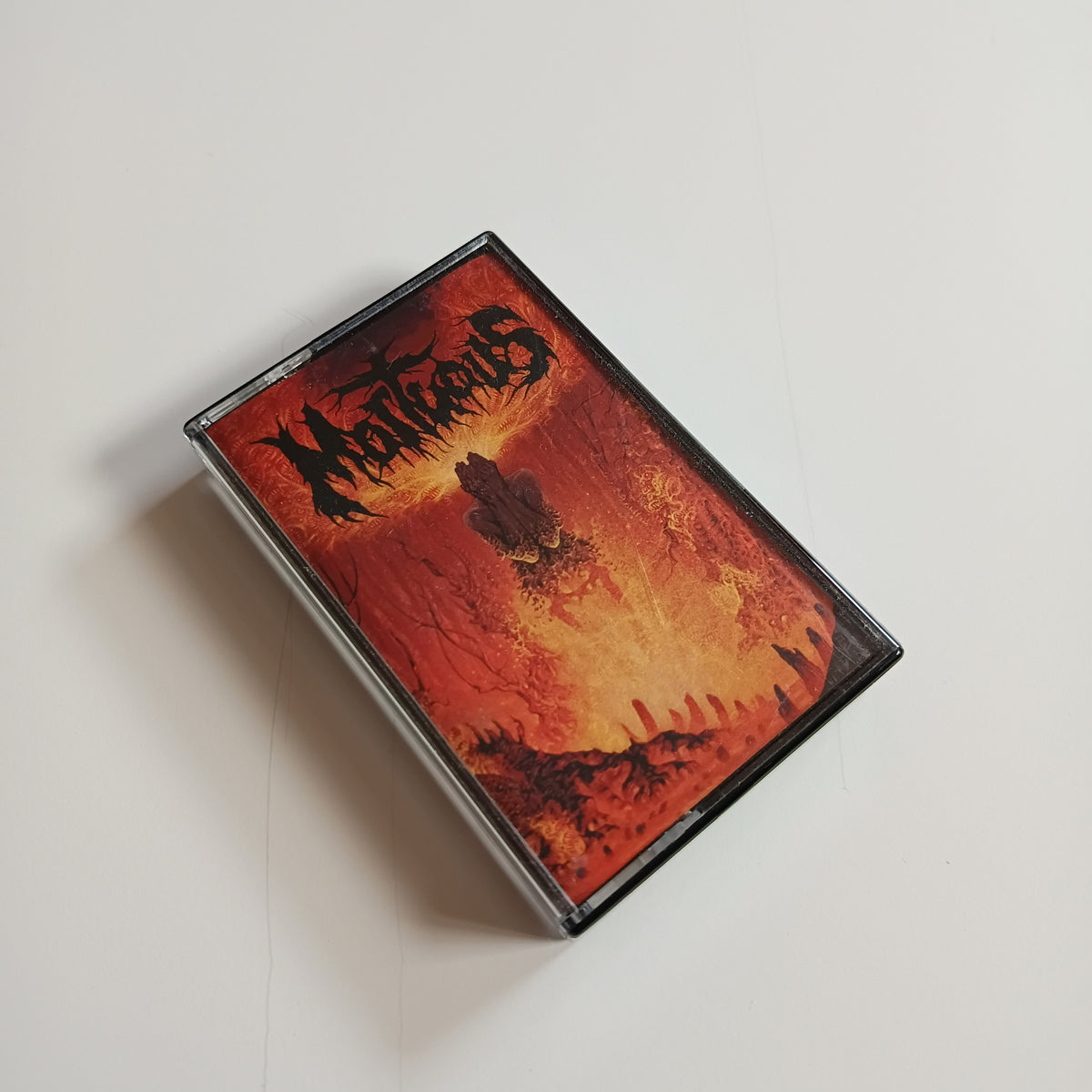 MORTUOUS - Upon Desolation