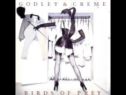 GODLEY & CREME - Birds Of Prey