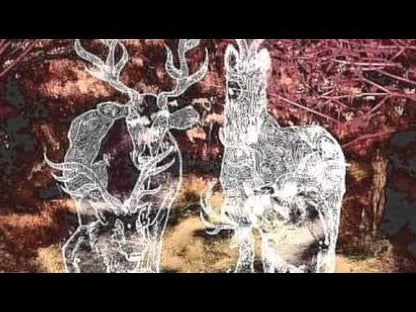 KAYO DOT - Blue Lambency Downward
