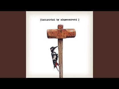 ALESSANDRO ALESSANDRONI - Industrial