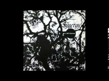 JEFF LIBERMAN - Synergy