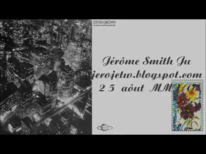 STEVEN BROWN - Me And You And The Licorice Stick