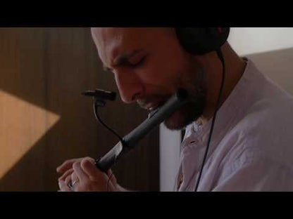 FABIO MINA - High Winds May Exist