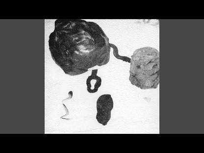 BURNT FRIEDMANN - The Pestle