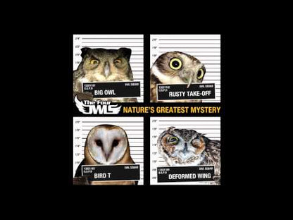 THE FOUR OWLS - Nature's Greatest Mystery
