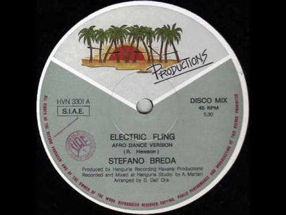 STEFANO BREDA - Electric Fling