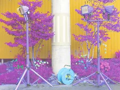 EIKO ISHIBASHI & DARIN GRAY - Ichida