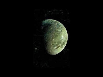 THOUSAND FOOT WHALE CLAW - Dope Moons Volume One