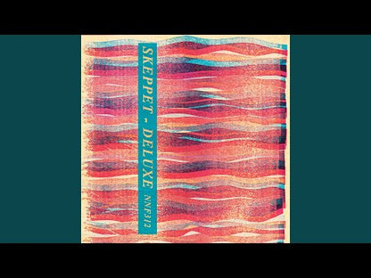STREET DRINKERS / SKEPPET - Split