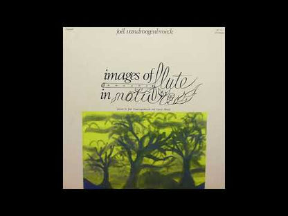 JOEL VANDROOGENBROECK - Images Of Flute In Nature