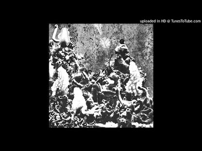 DONATO EPIRO - Fiume Nero